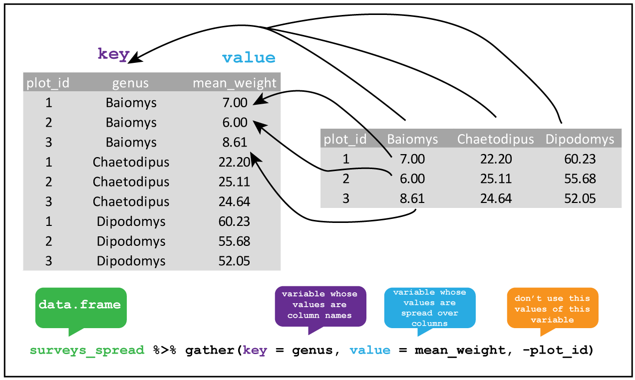 Data analysis and R programming