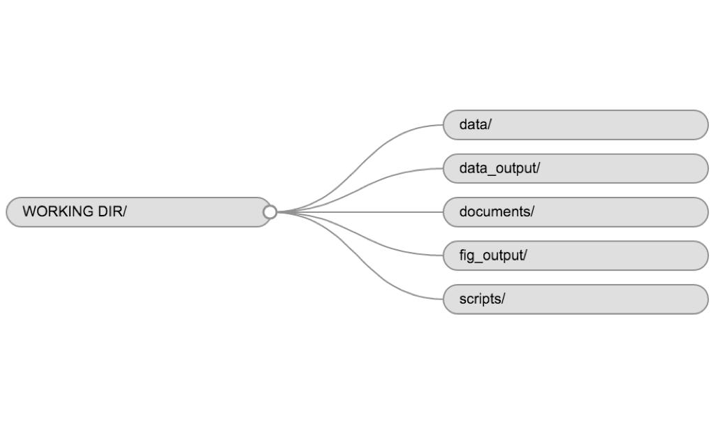 Example of a working directory structure