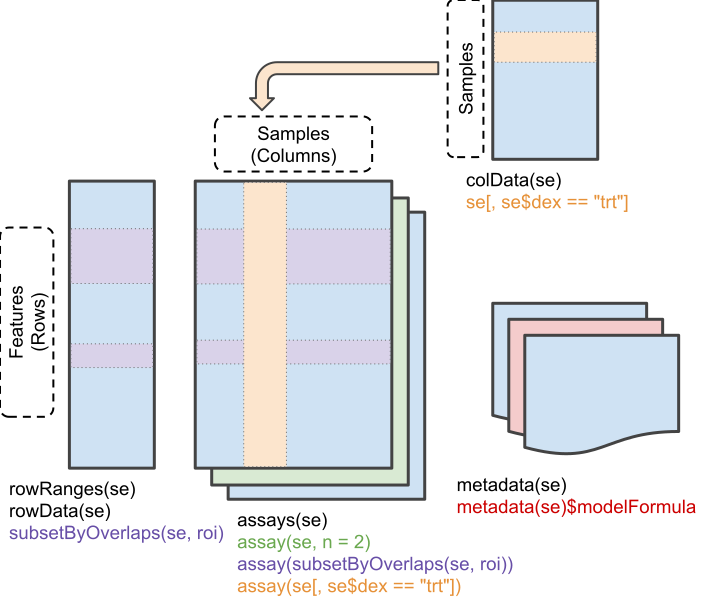 Schematic representation of the anatomy of a `SummarizedExperiment` object. (Figure taken from the `SummarizedExperiment` package vignette.)