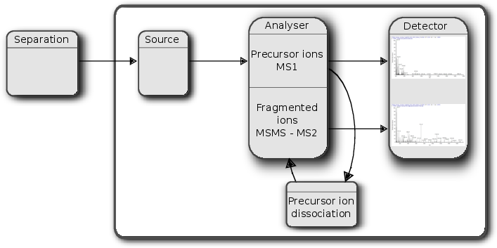 Schematics of a mass spectrometer and two rounds of MS.