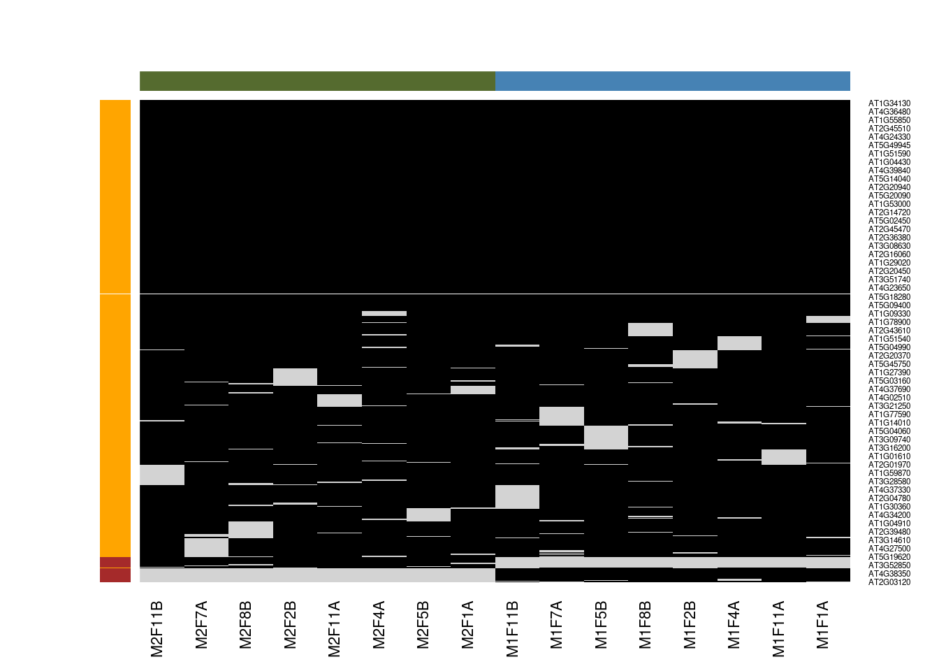 Mixed imputation method. Black cells represent presence of quantitation values and light grey corresponds to missing data. The two groups of interest are depicted in green and blue along the heatmap columns. Two classes of proteins are annotated on the left: yellow are proteins with randomly occurring missing values (if any) while proteins in brown are candidates for non-random missing value imputation.