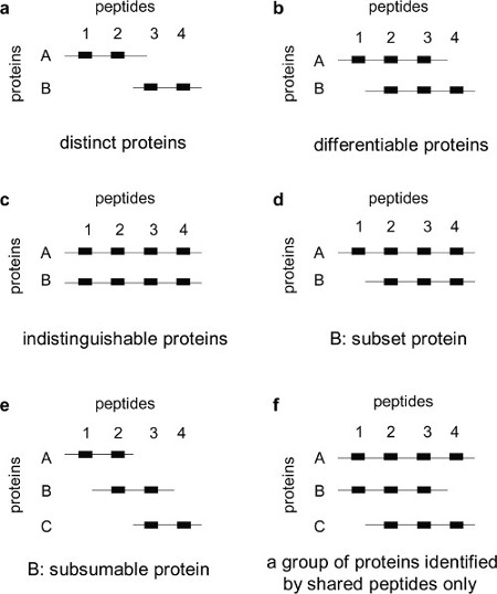 Peptide evidence classes