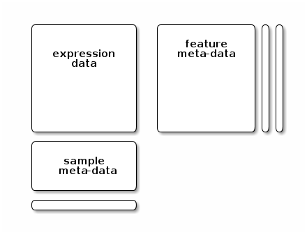 Dimension requirements for the respective expression, feature and sample meta-data slots.