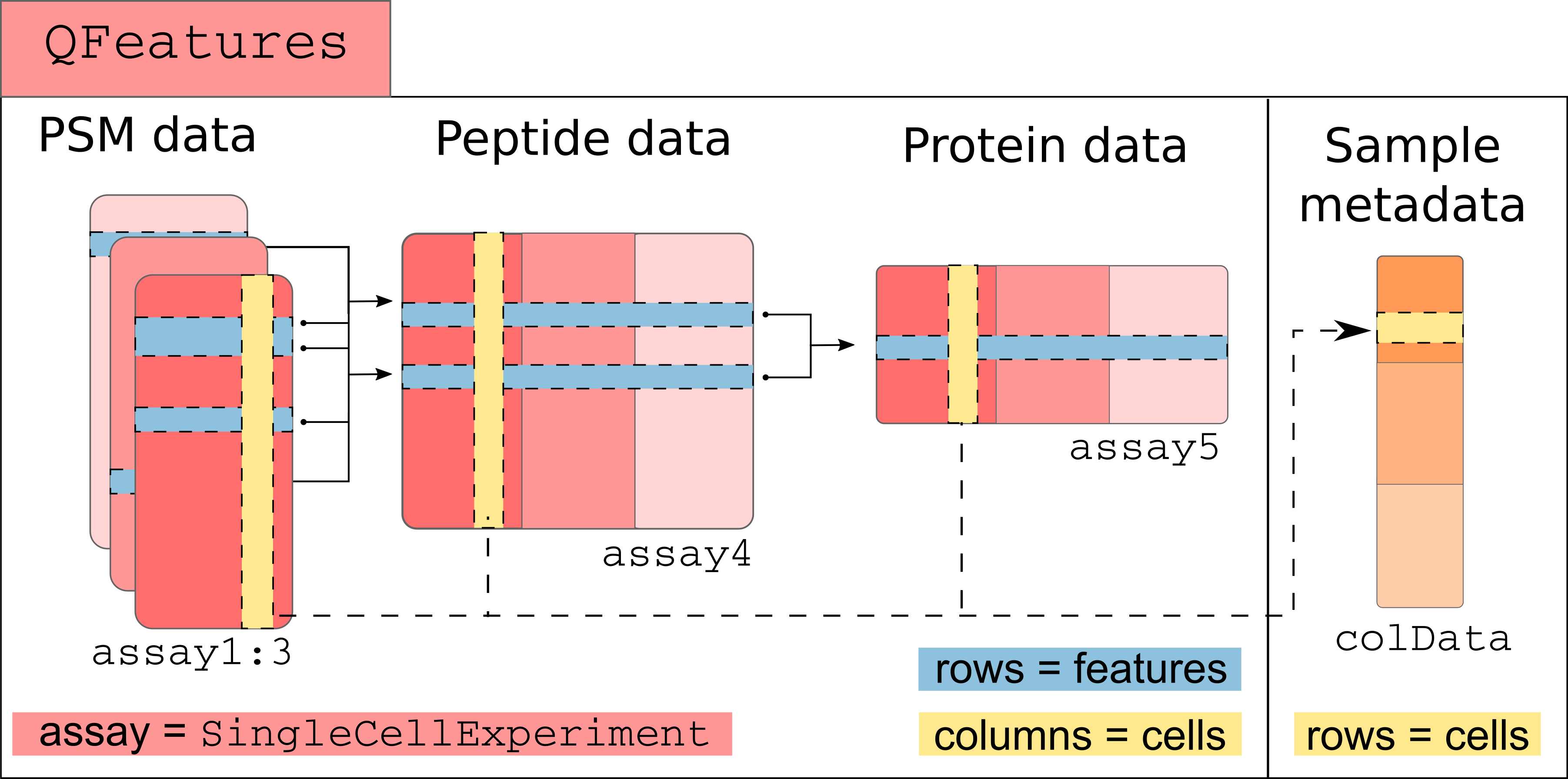 Conceptual overview of a `QFeatures` object containing SCP data. Each assay is stored as a `SingleCellExperiment` object.