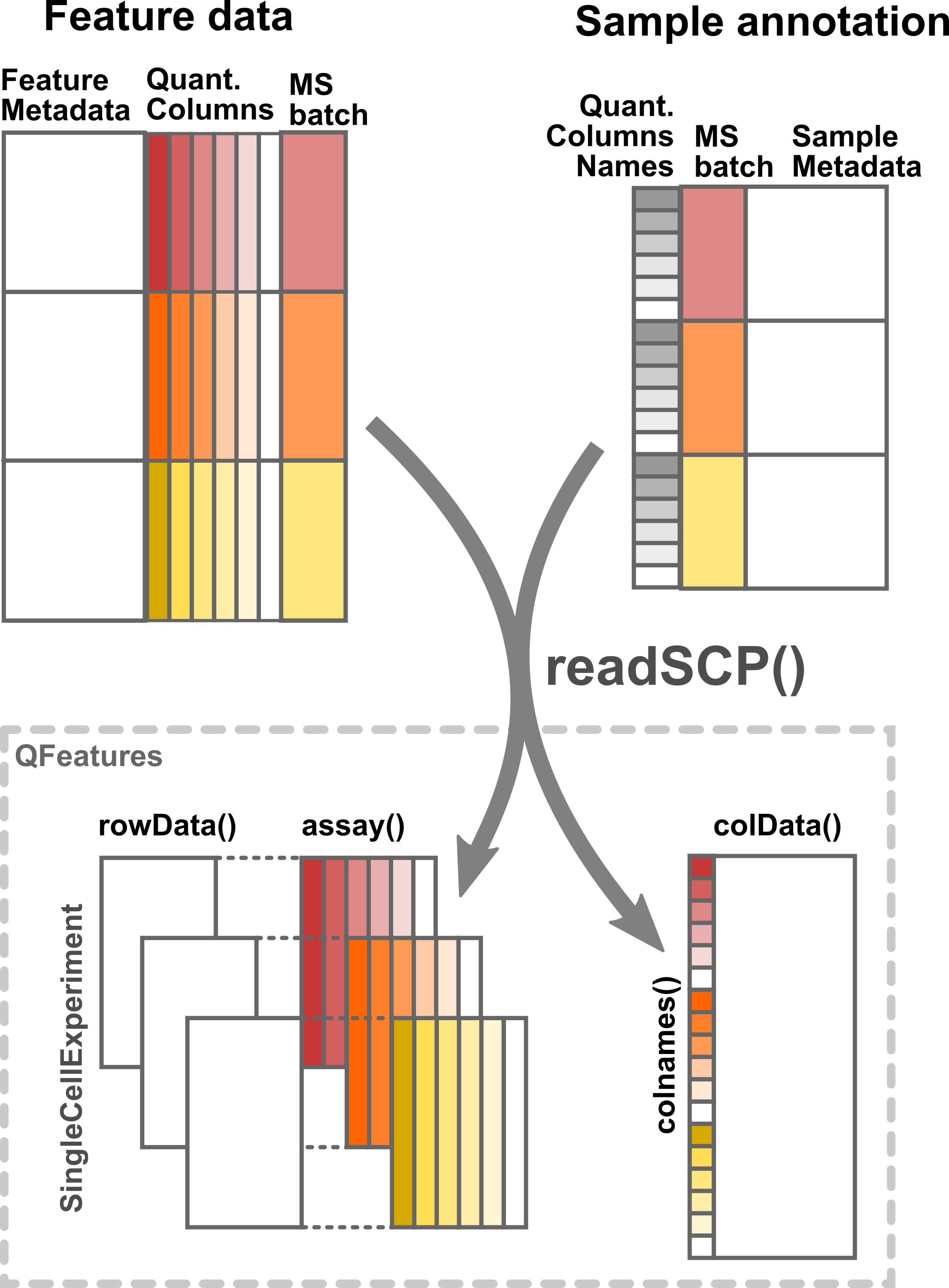 Illustration of the formatting by `readSCP` of the feature data table and the sample annotation table into a `QFeatures` object.