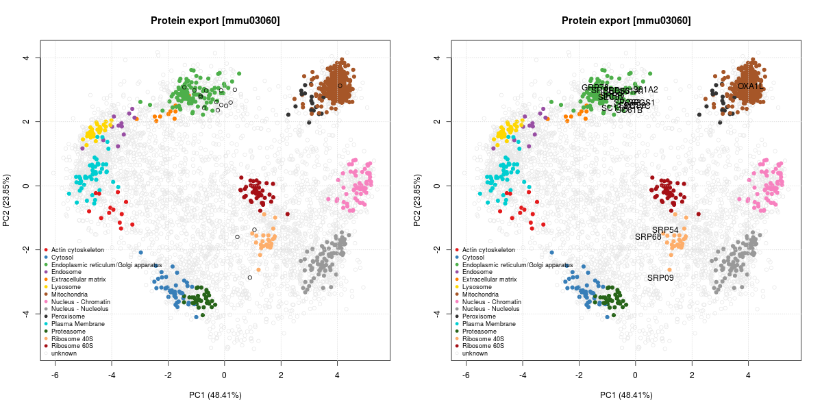 protein export